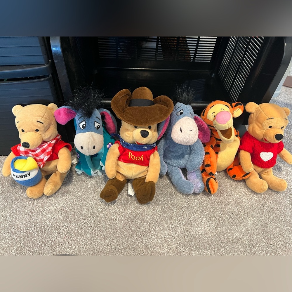 Assorted Winnie the Pooh Beanies